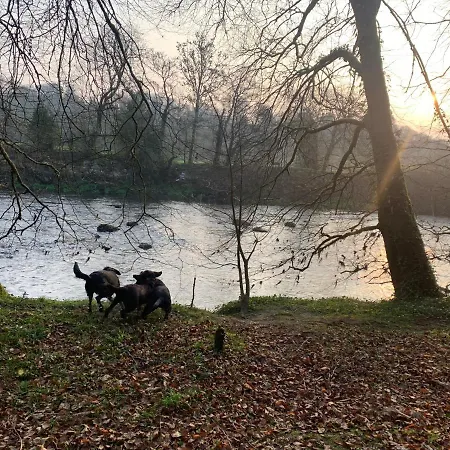 Cillcearn House فندق مبيت وإفطار كيلارني