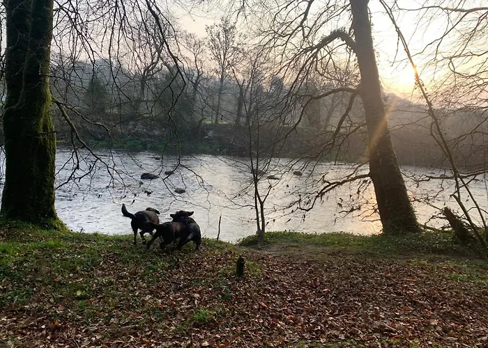 Cillcearn House فندق مبيت وإفطار كيلارني