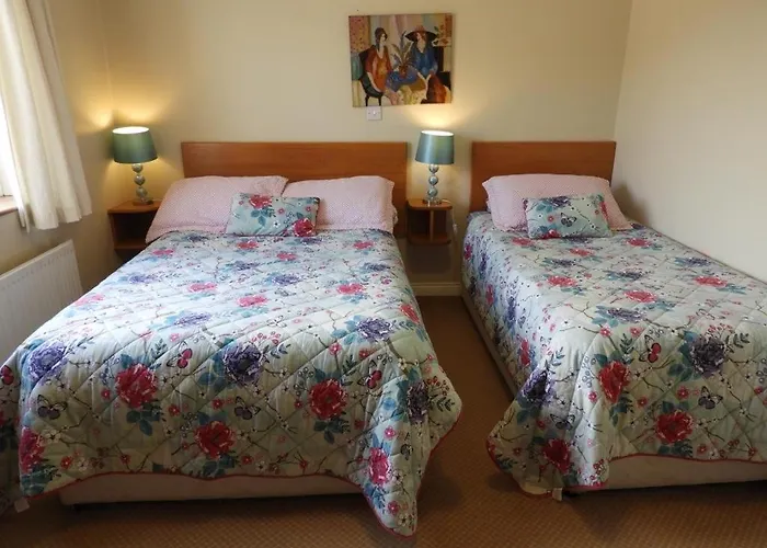 西欧瑟恩住宿加早餐旅馆 基拉尼